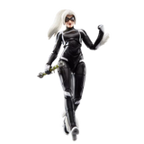 Gamerverse: Black Cat
