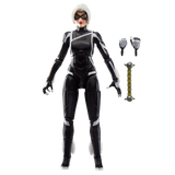 Gamerverse: Black Cat